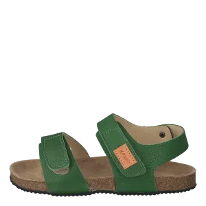 Bomhus Ep Forest Green