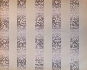 Chain Reaction Exhibition Checklist - Curated by Steven Leiber
