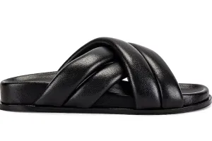 Lizzie Slides