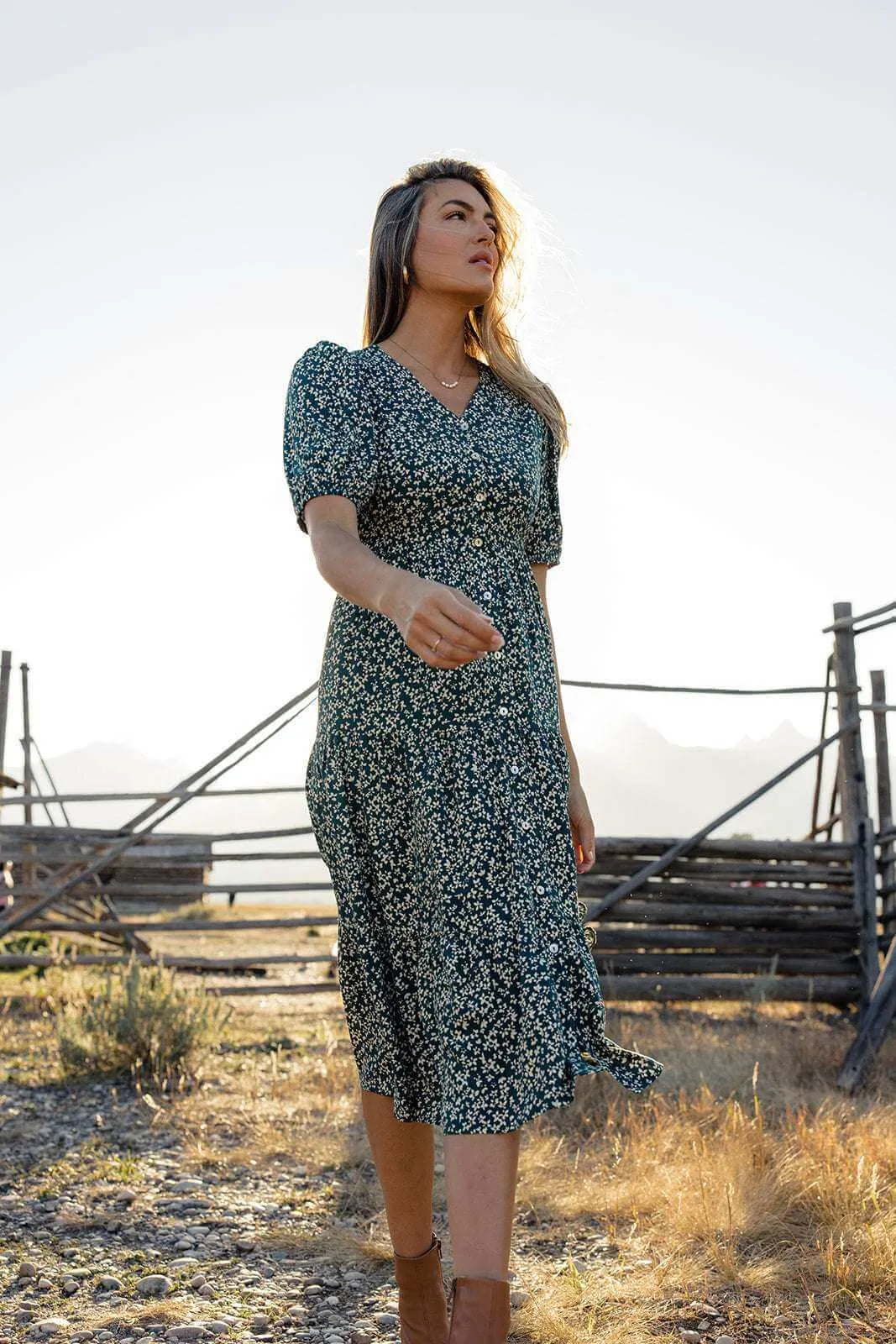 Netherfield Nursing Friendly Dress