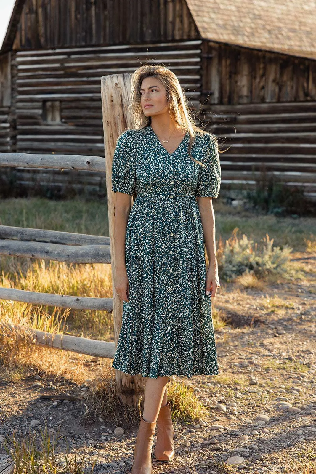 Netherfield Nursing Friendly Dress