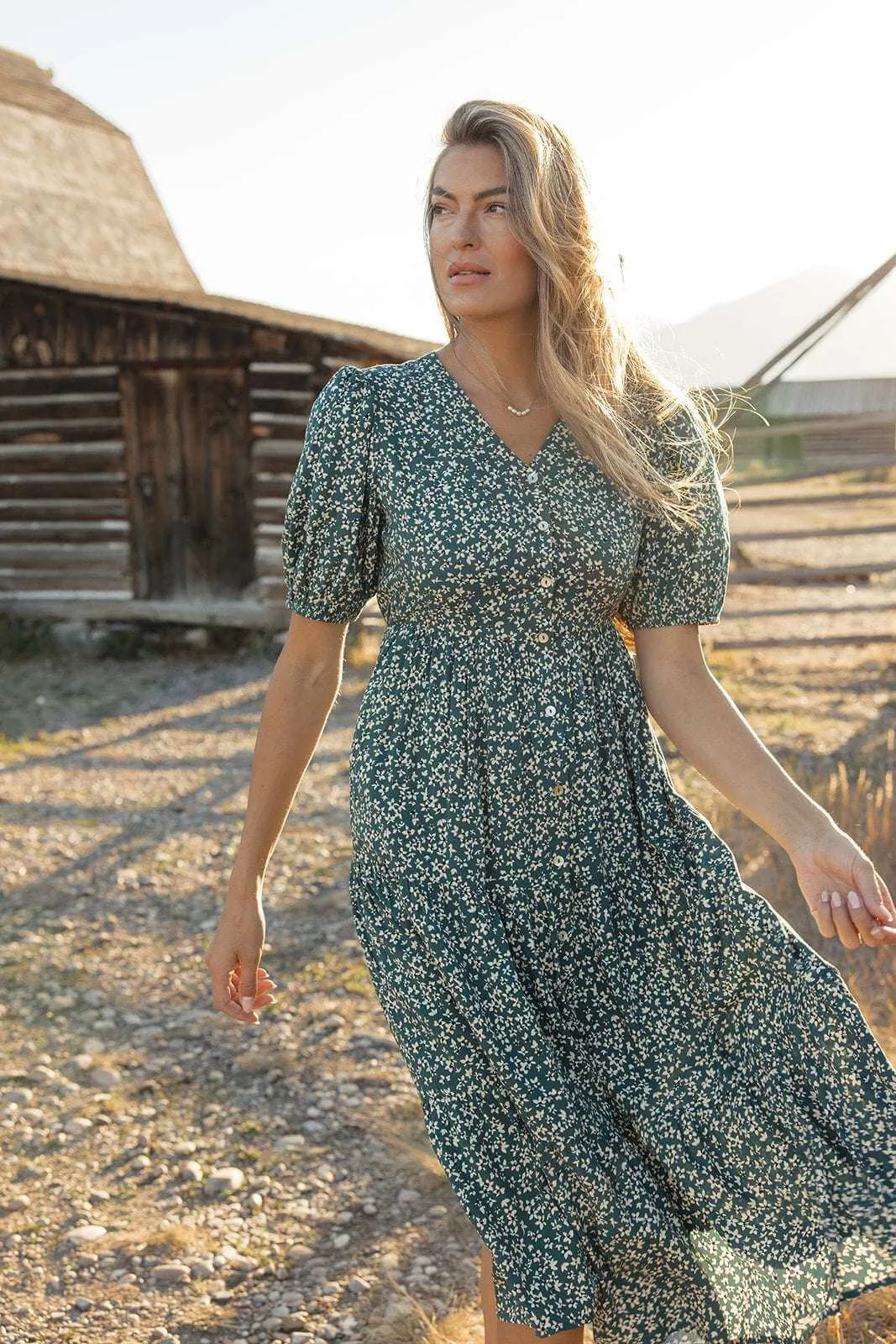 Netherfield Nursing Friendly Dress