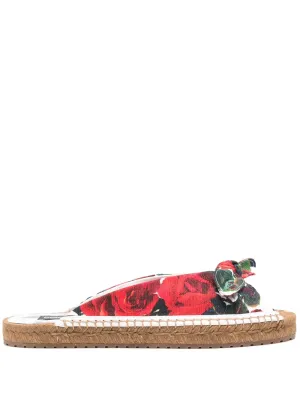 Printed slides