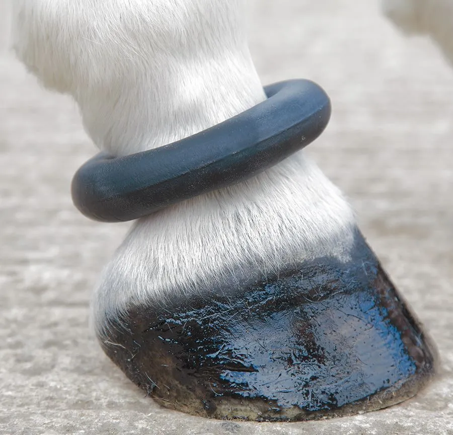 Shires Fetlock Ring